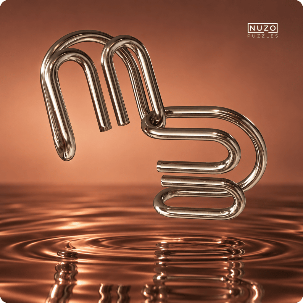 TWIN LOOP