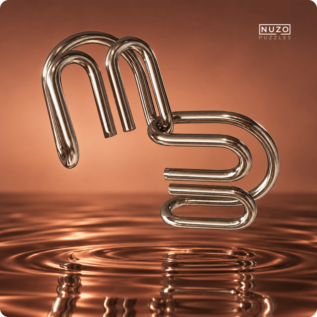 TWIN LOOP